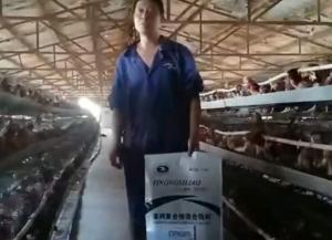原保軍在河南安陽(yáng)為益農(nóng)蛋雞預(yù)混料代言！